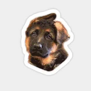 German Shepherd Puppy Dog Ears Sticker